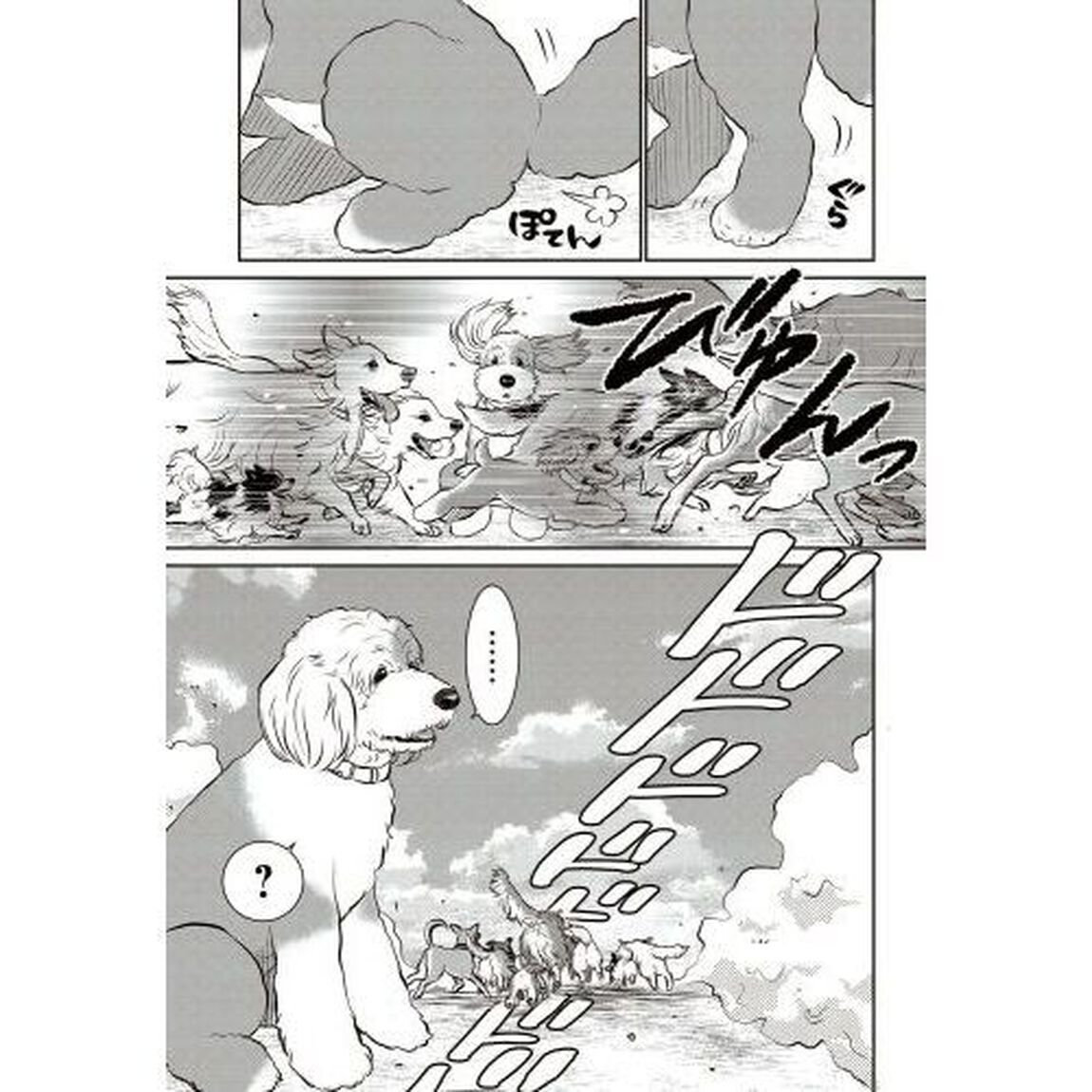 ＤＯＧ　ＳＩＧＮＡＬ　８
