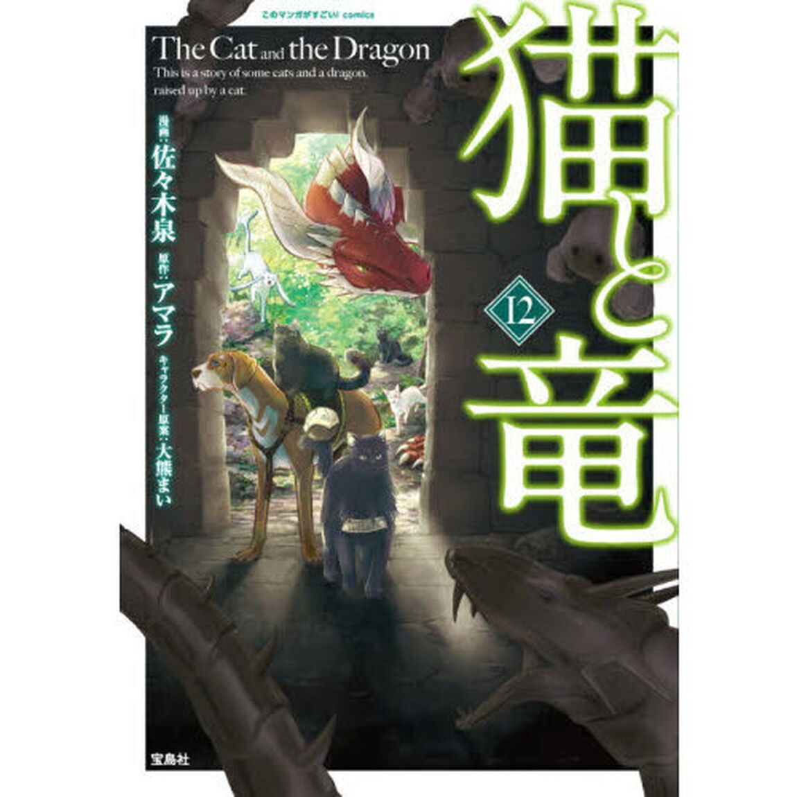 猫と竜　１２