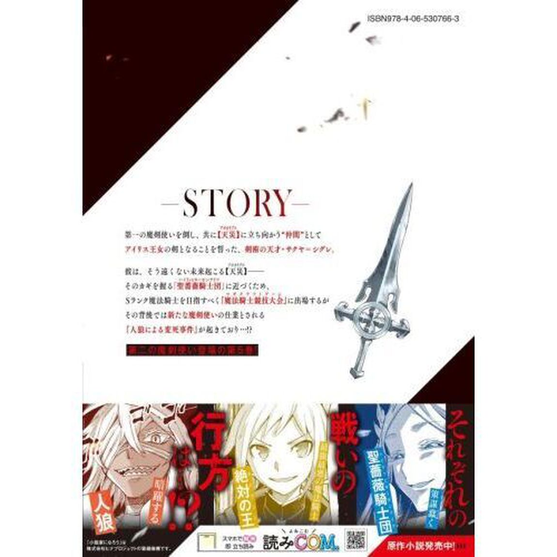 七聖剣と魔剣の姫　５