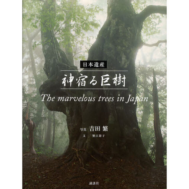 日本遺産 神宿る巨樹 The marvelous trees in Japan