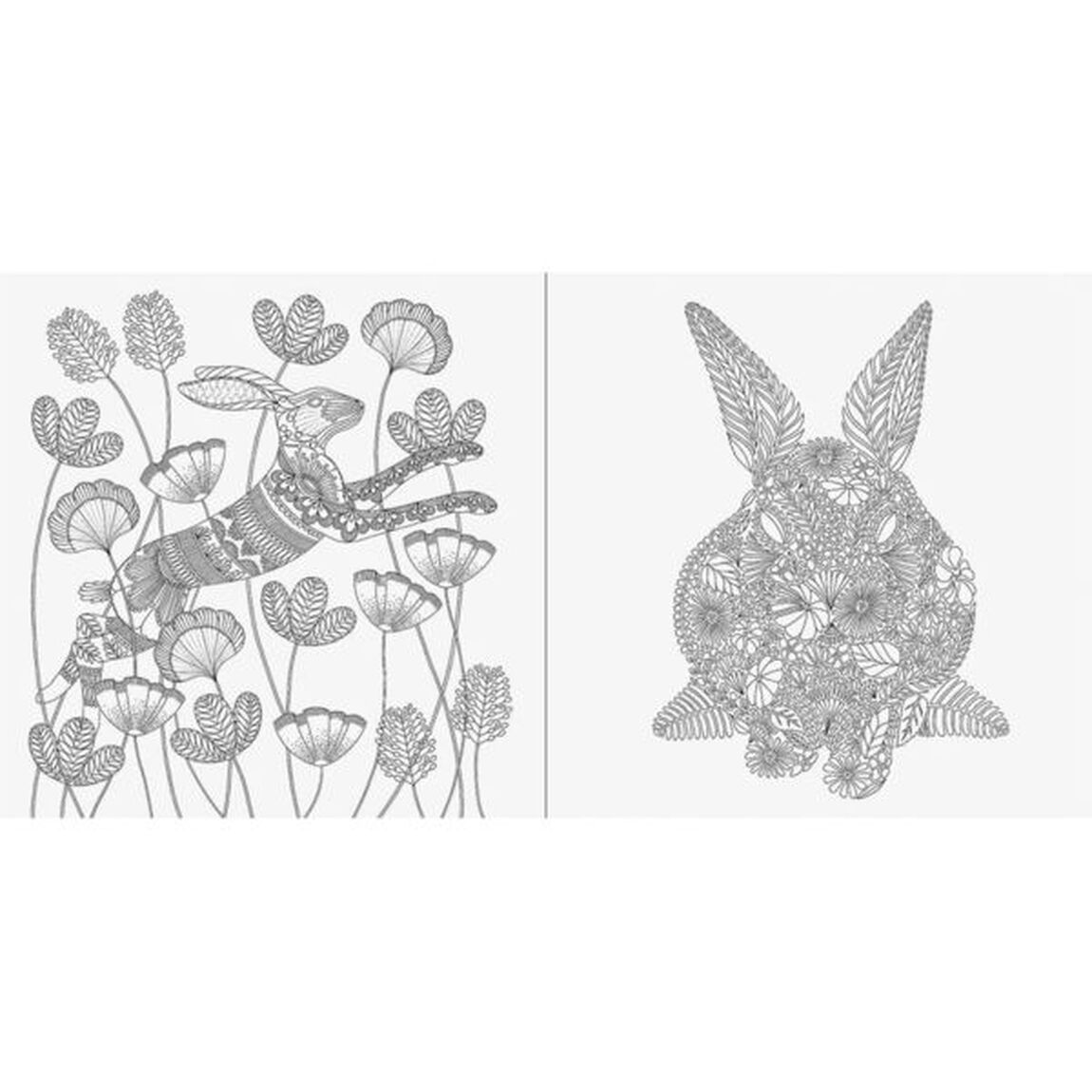 動物たちのぬり絵ブック