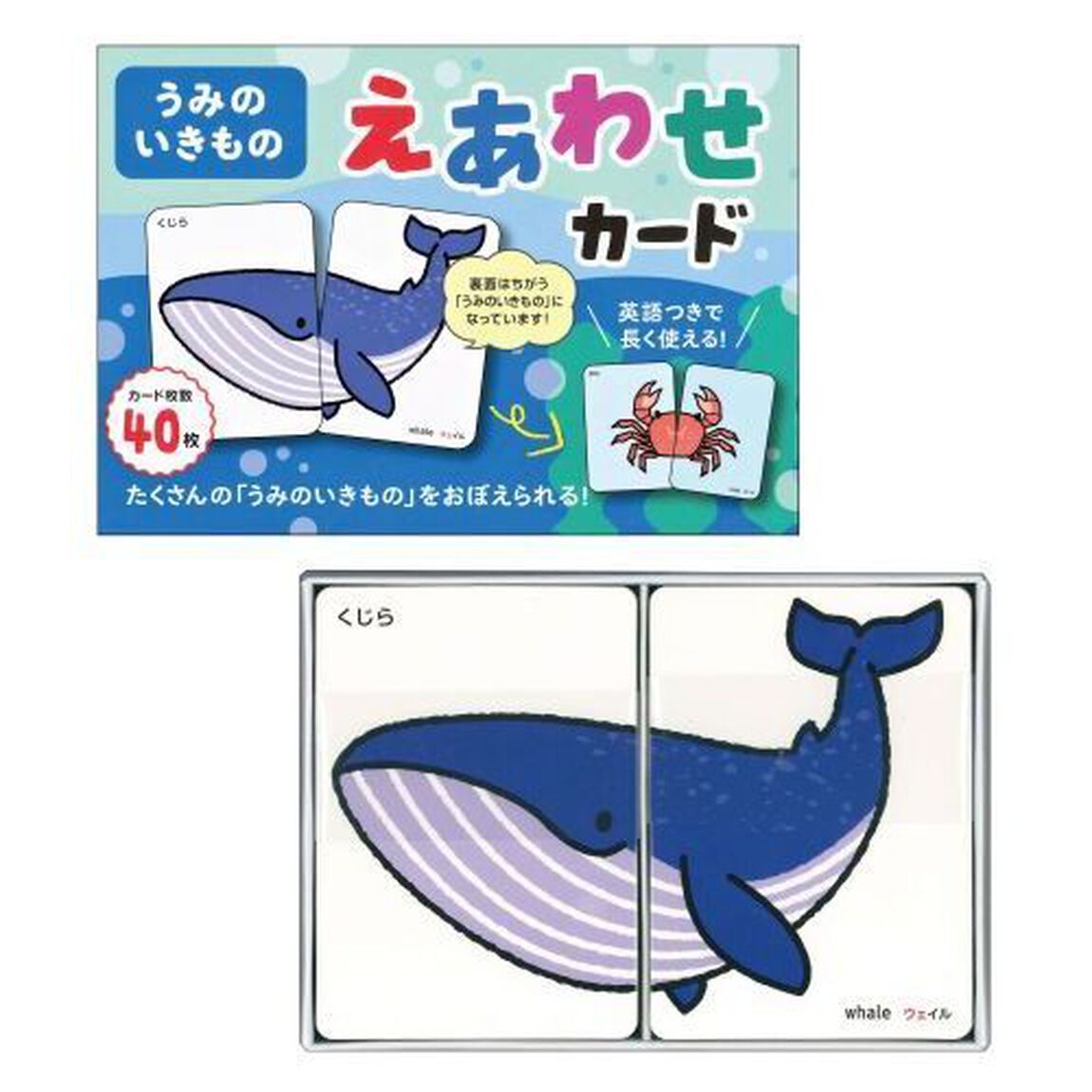 うみのいきもの　えあわせカード