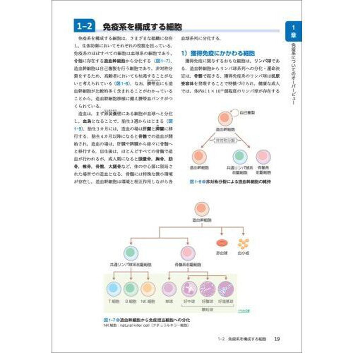 基礎から学ぶ免疫学