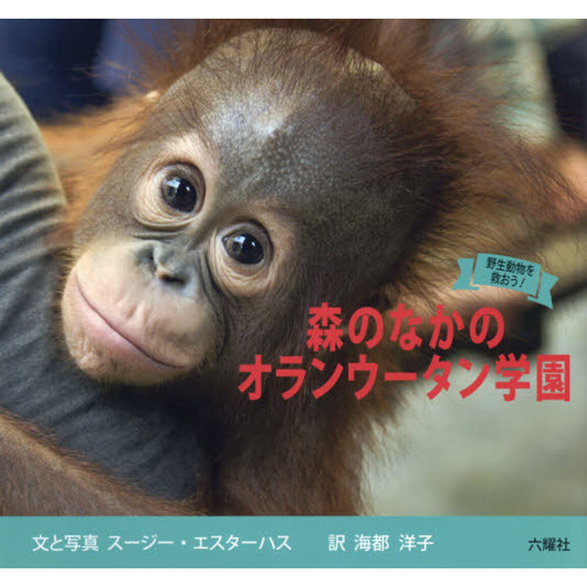 森のなかのオランウータン学園