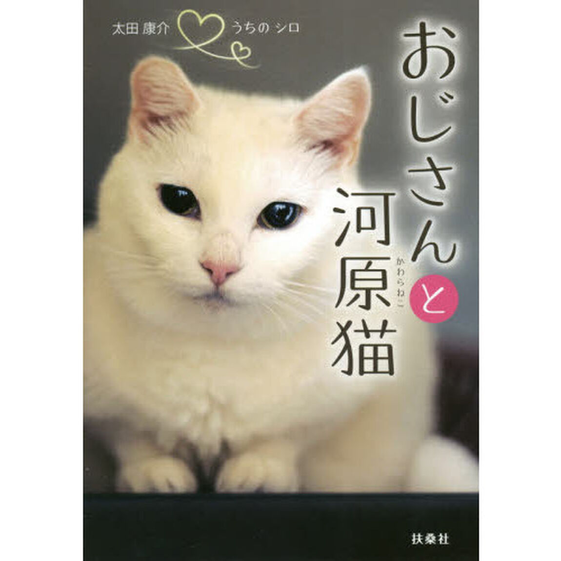 おじさんと河原猫　うちのシロ