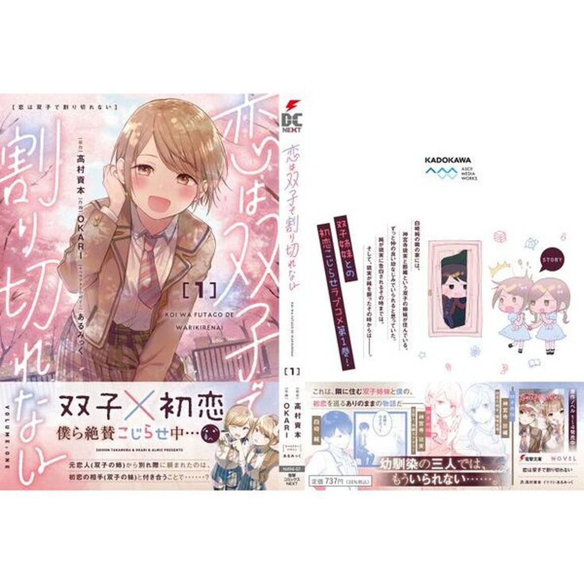 恋は双子で割り切れない　１