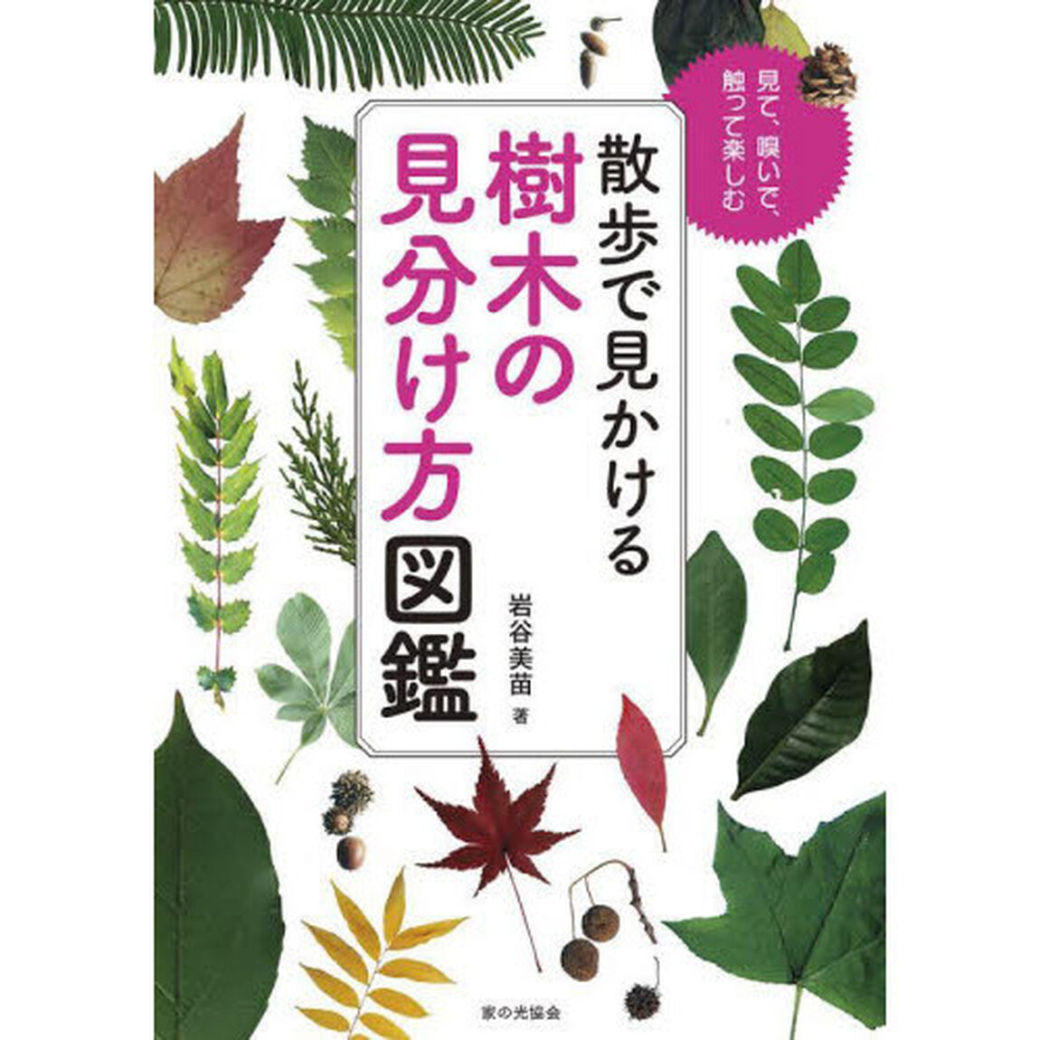 散歩で見かける樹木の見分け方図鑑　見て、嗅いで、触って楽しむ