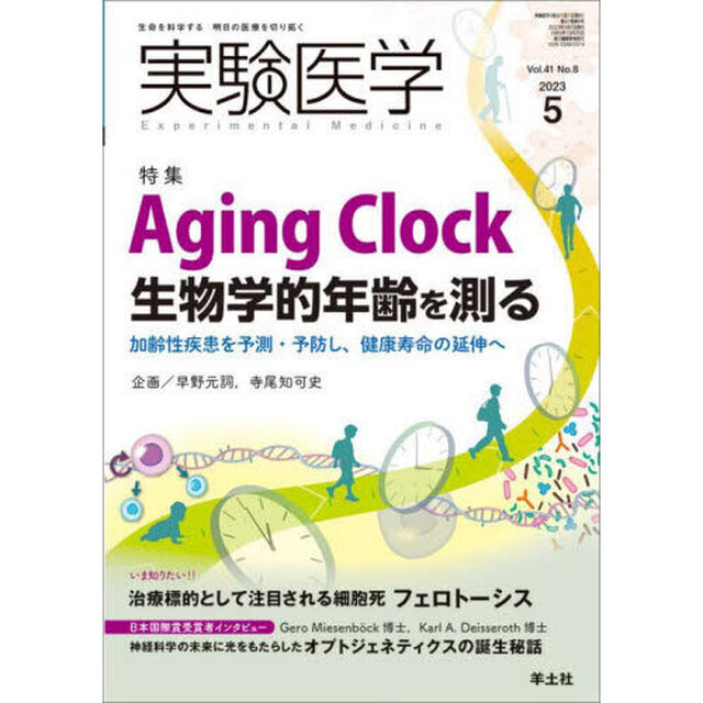 実験医学　Ｖｏｌ．４１Ｎｏ．８（２０２３－５）「〈特集〉Ａｇｉｎｇ　Ｃｌｏｃｋと生物学的年齢／フェロトーシス」