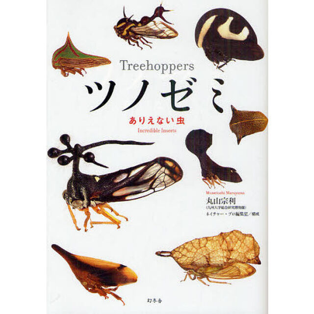 ツノゼミ　ありえない虫