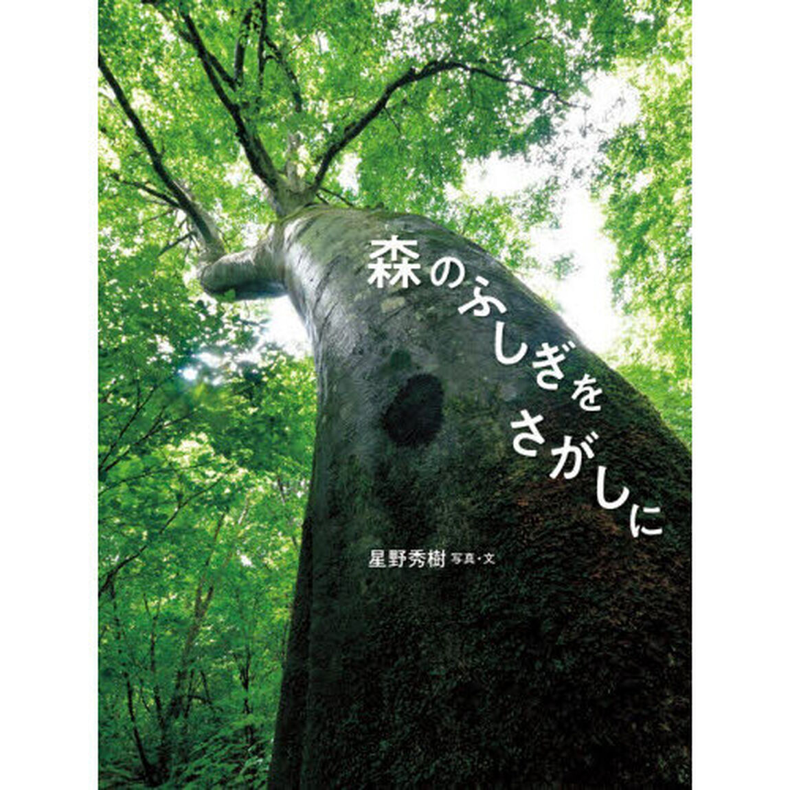森のふしぎをさがしに
