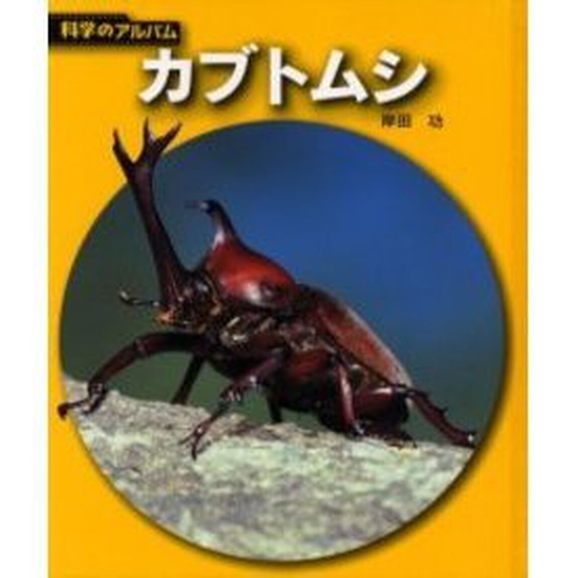 カブトムシ　新装版