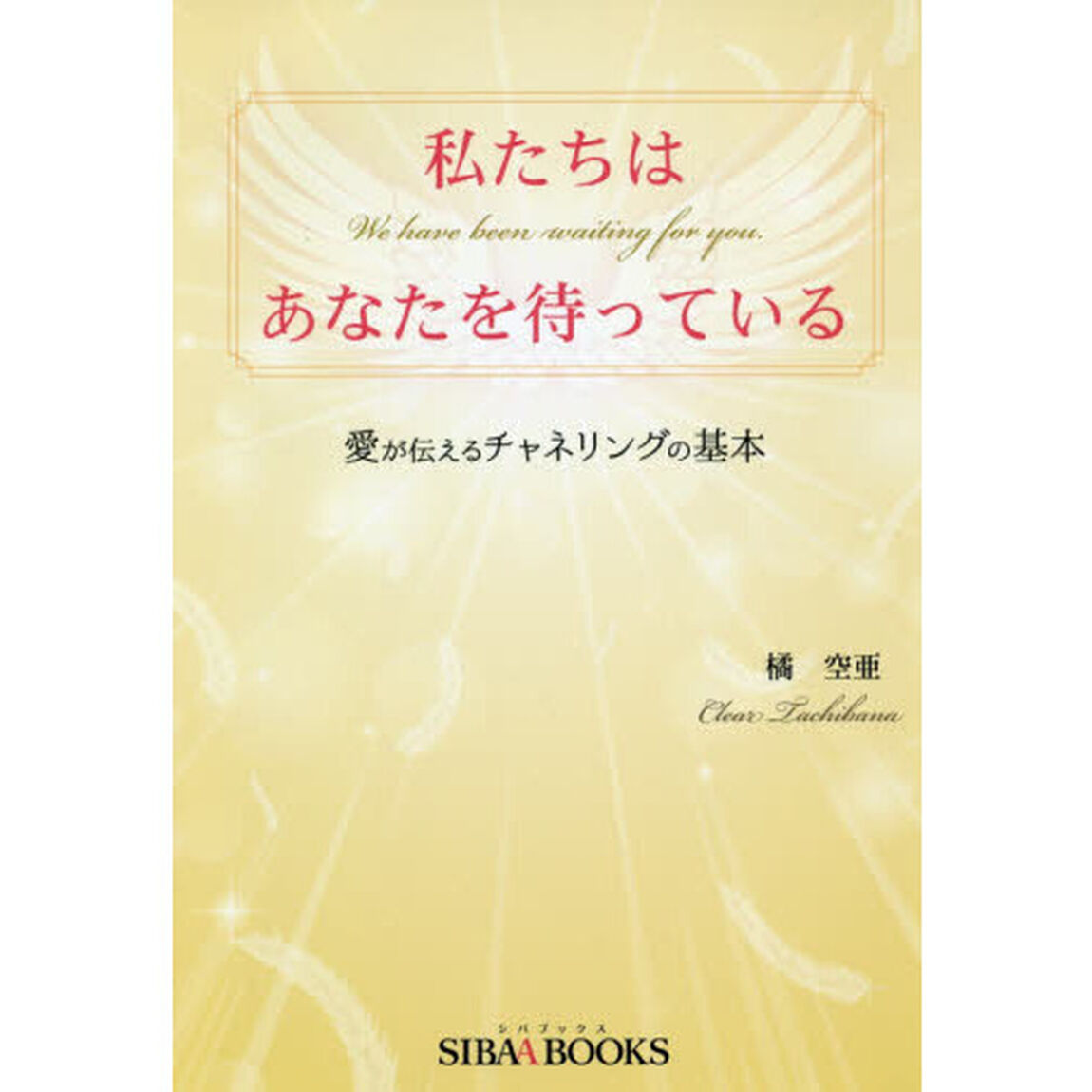 私たちはあなたを待っている　愛が伝えるチャネリングの基本