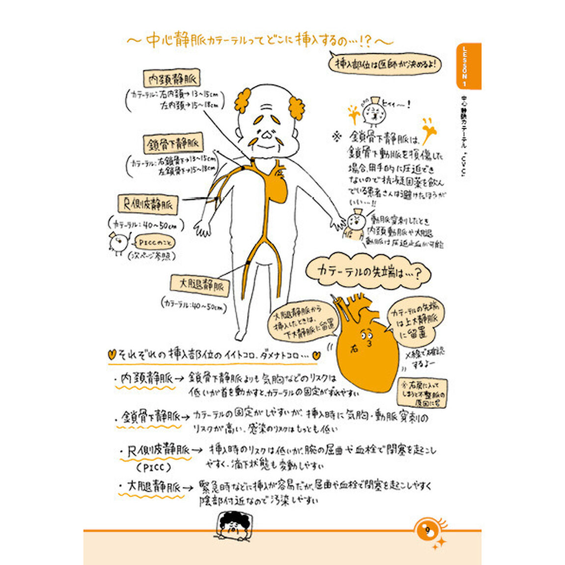 悲しいくらい人に聞けない看護技術　ズルカン２年生