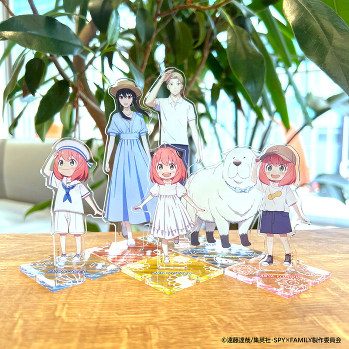 【SPY&times;FAMILY】つながるアクリルスタンド　アーニャ・フォージャー B＜セブンネット限定＞