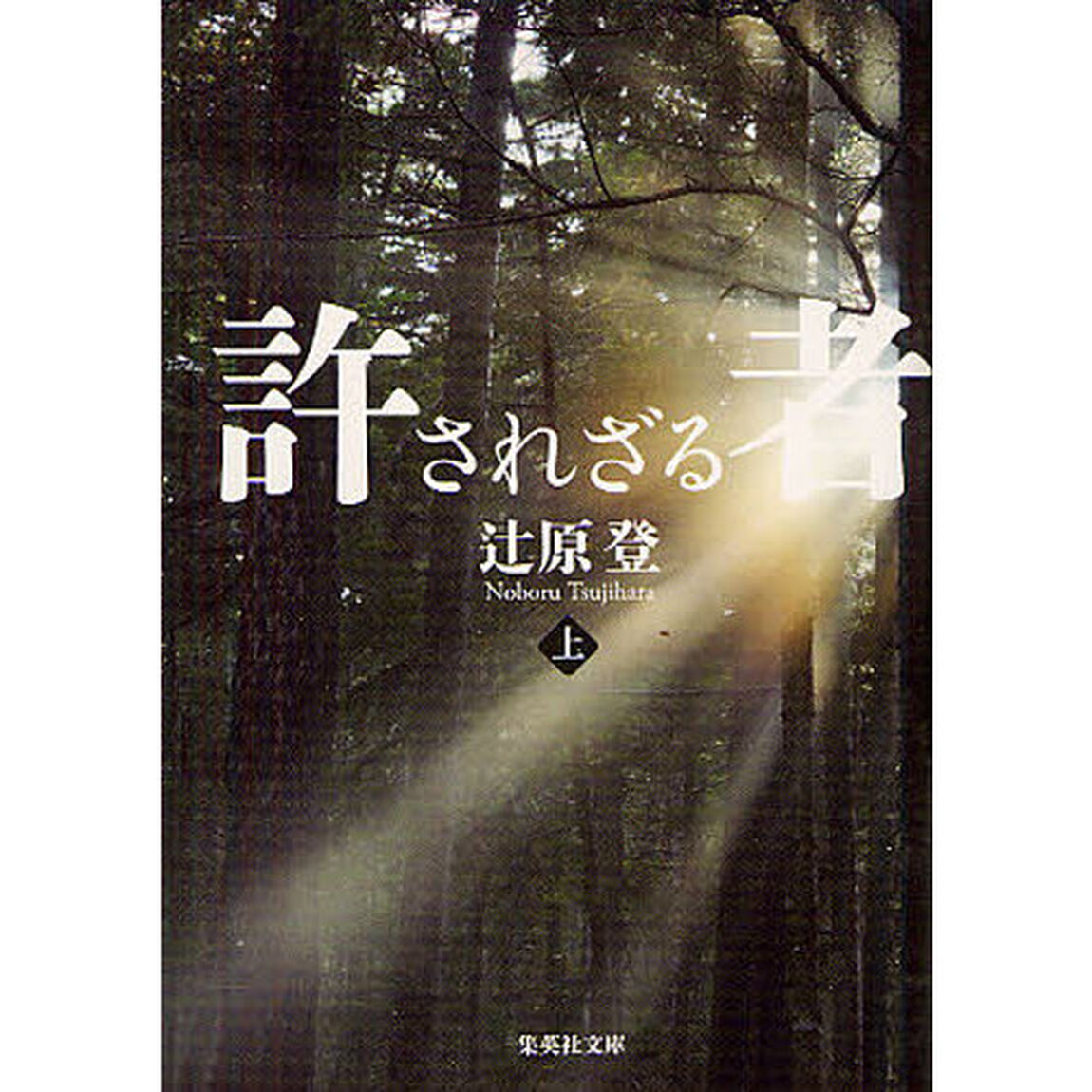 許されざる者　上