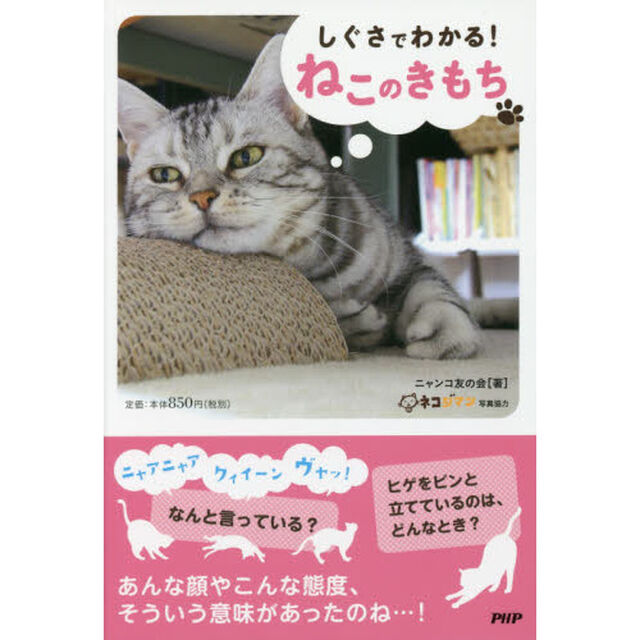 しぐさでわかる！ねこのきもち