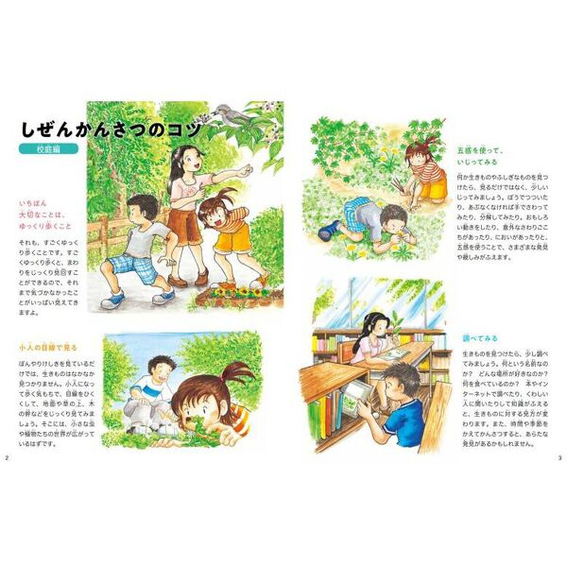 校庭のかんさつ