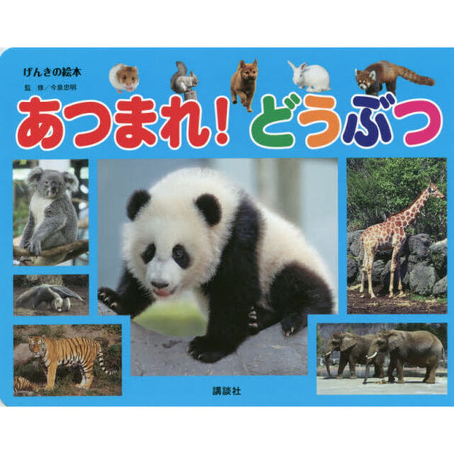 あつまれ！どうぶつ
