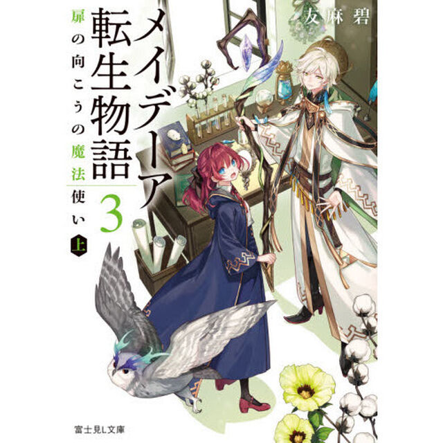 メイデーア転生物語　３「扉の向こうの魔法使い　上」