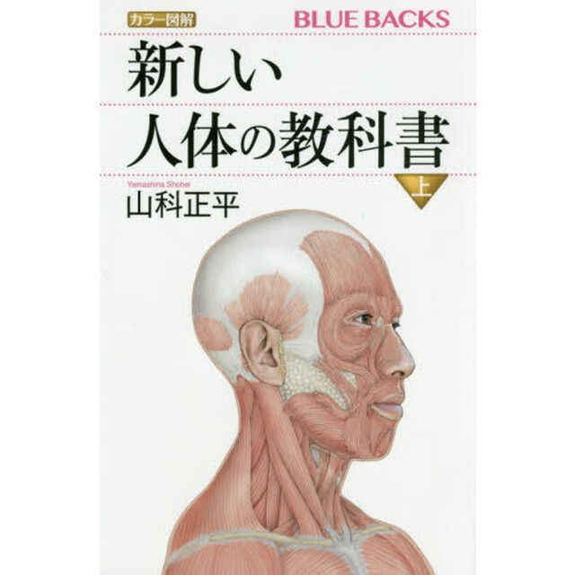 カラー図解新しい人体の教科書　上