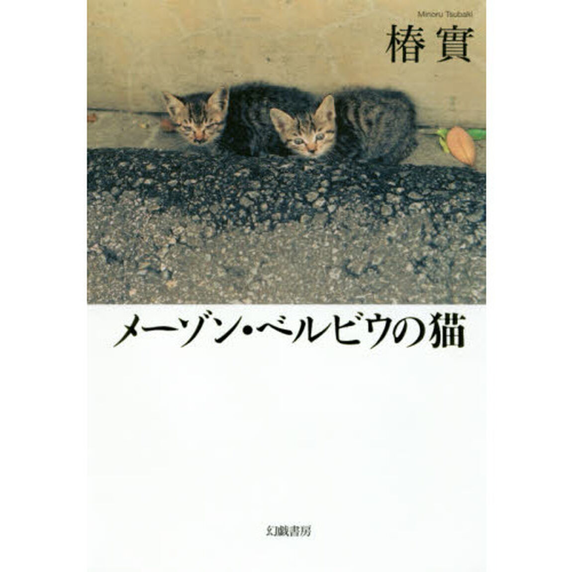 メーゾン・ベルビウの猫