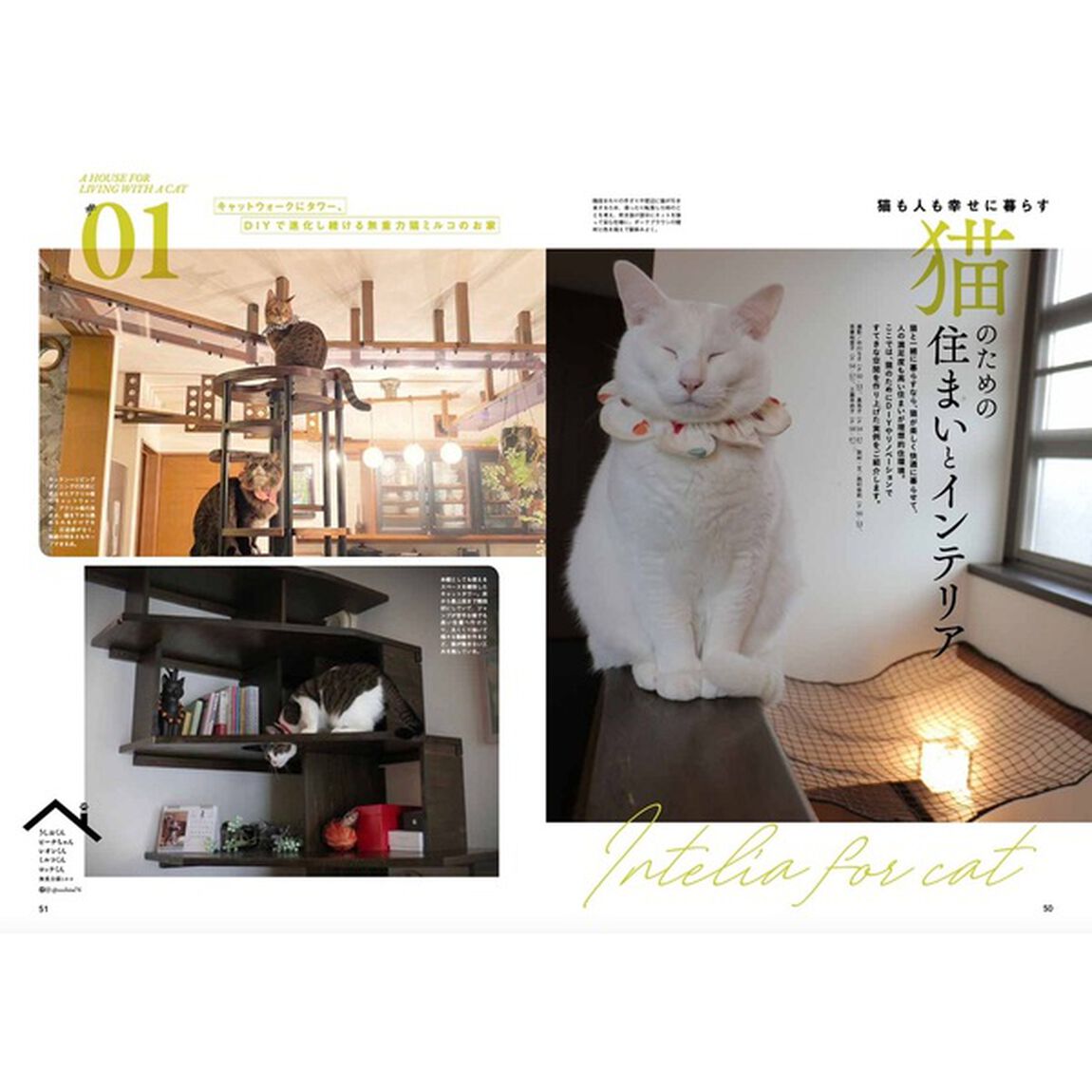 ネコブロスvol.2「ＴＶ　Ｂｒｏｓ．がおくる、まるまるニャンコな１冊！やっぱり猫がだいすき！！！」