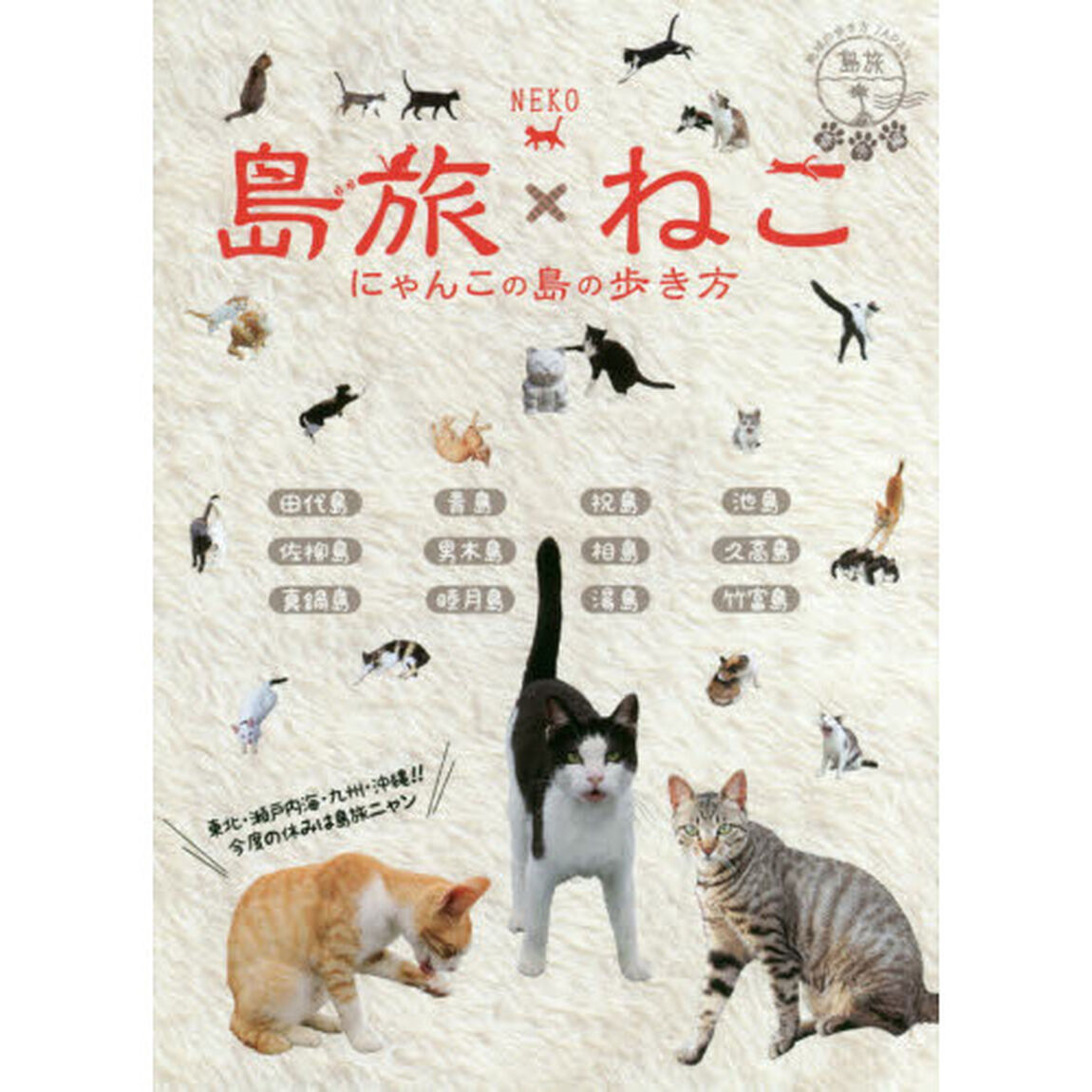 島旅ねこ　にゃんこの島の歩き方