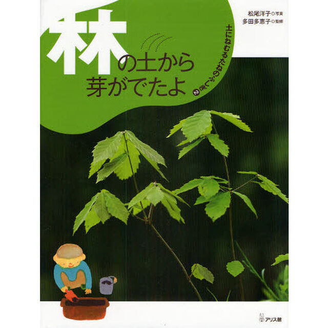 土にねむるたねのふしぎ　２「林の土から芽がでたよ」