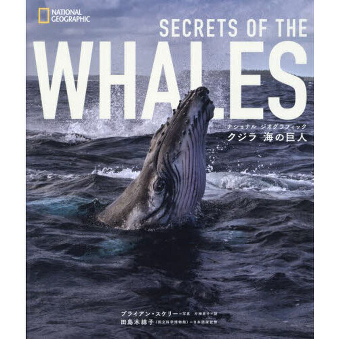 クジラ海の巨人