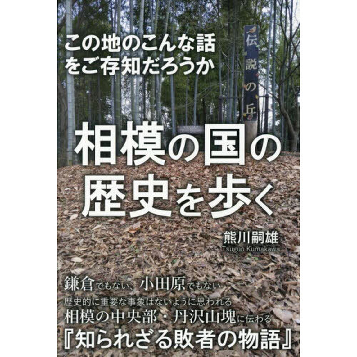 相模の国の歴史を歩く　この地のこんな話をご存知だろうか