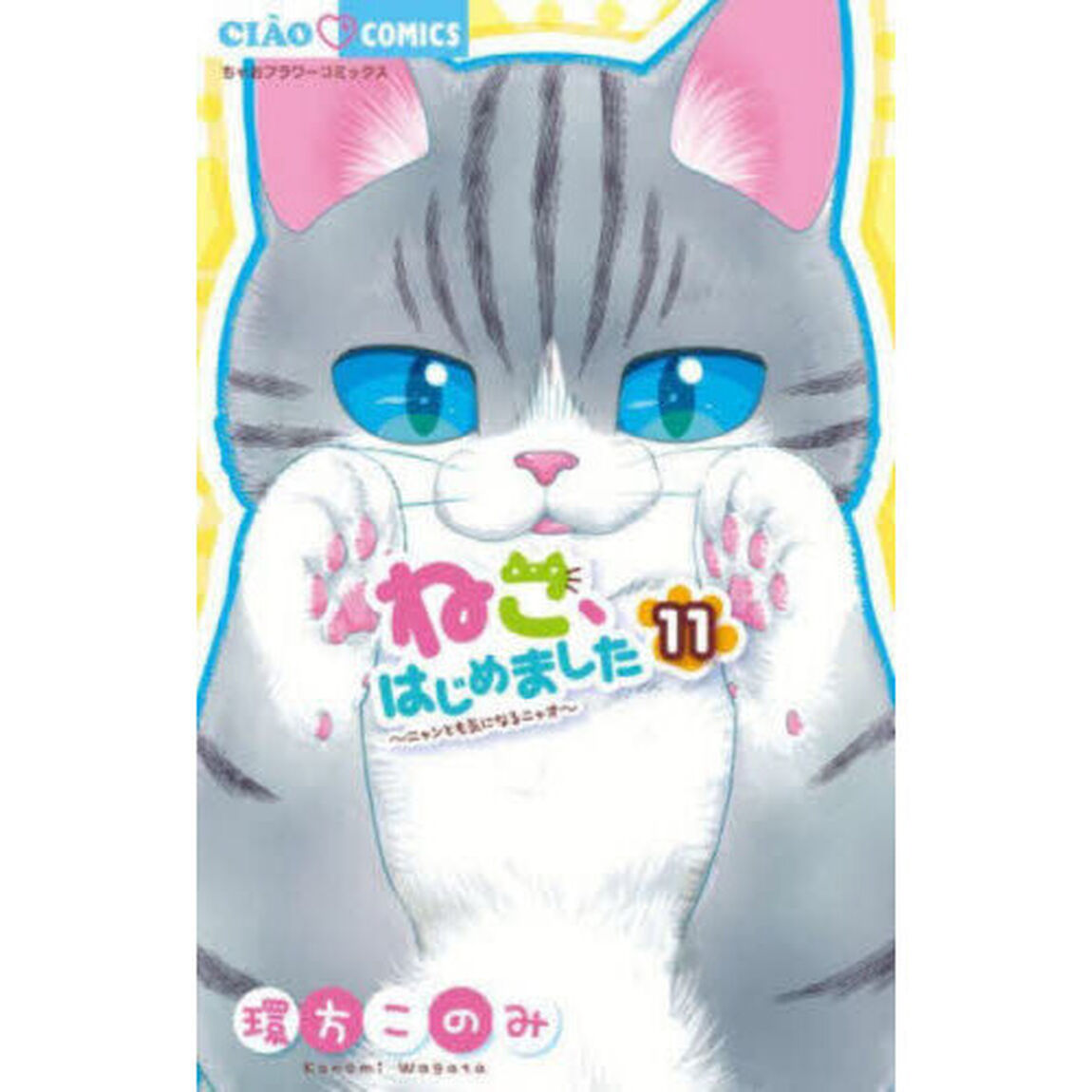 ねこ、はじめました　１１