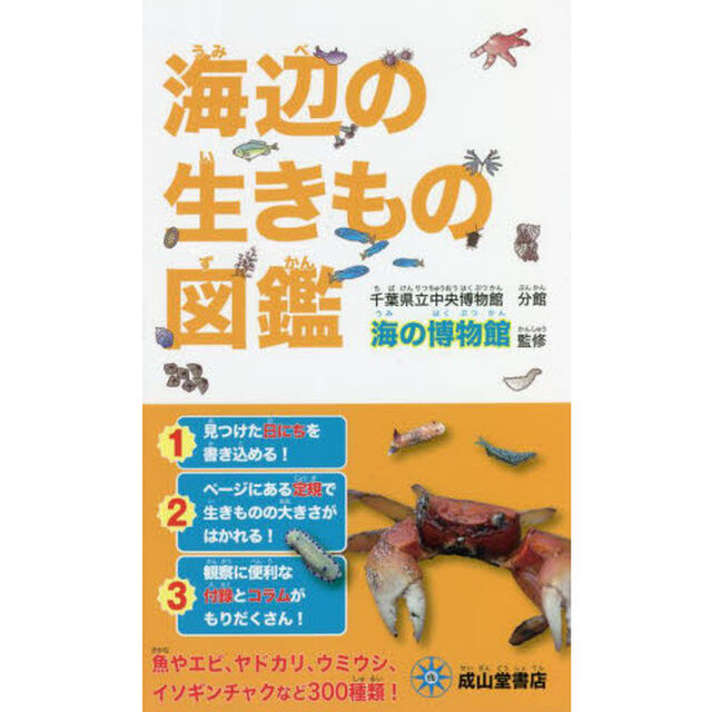 海辺の生きもの図鑑