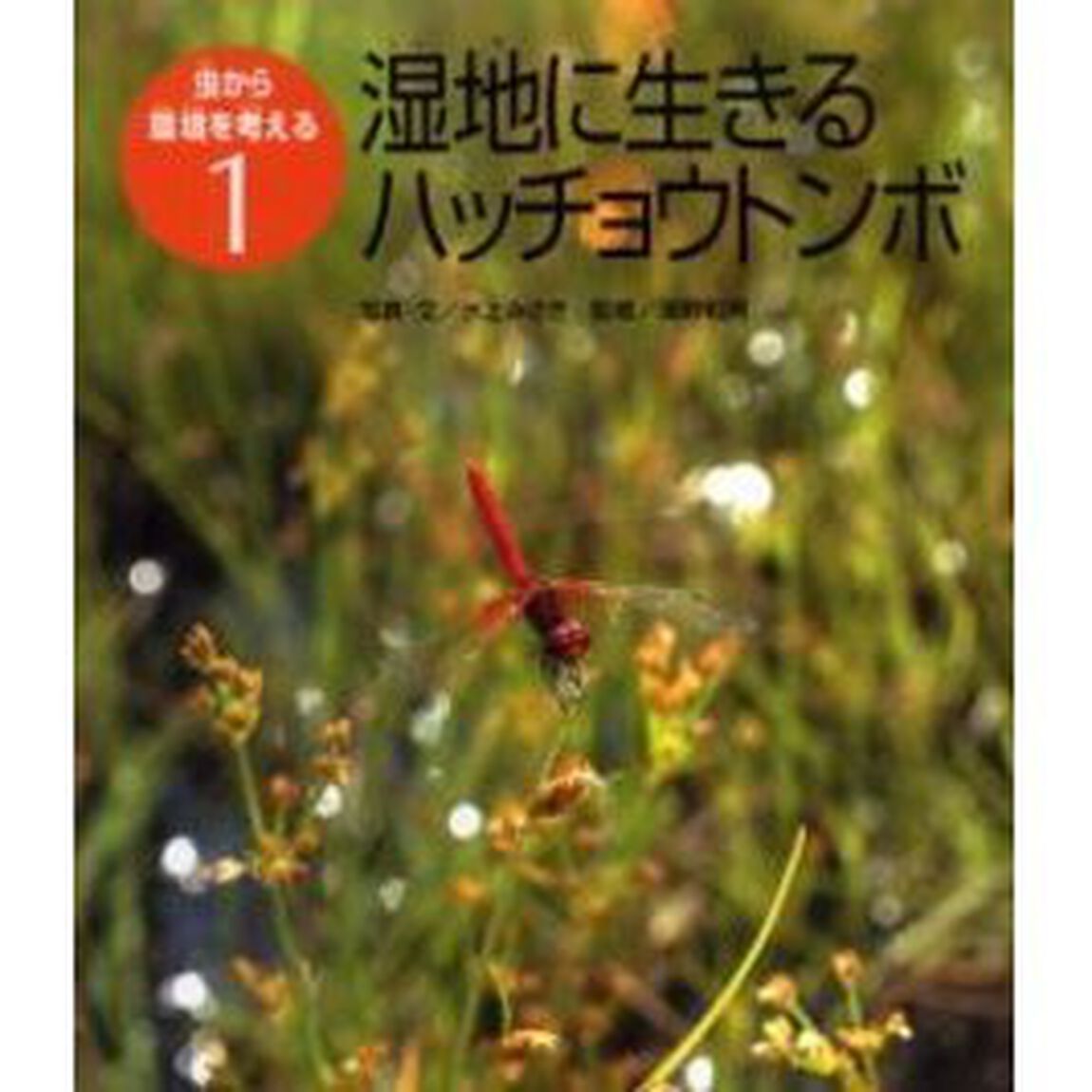 虫から環境を考える　１「湿地に生きるハッチョウトンボ」