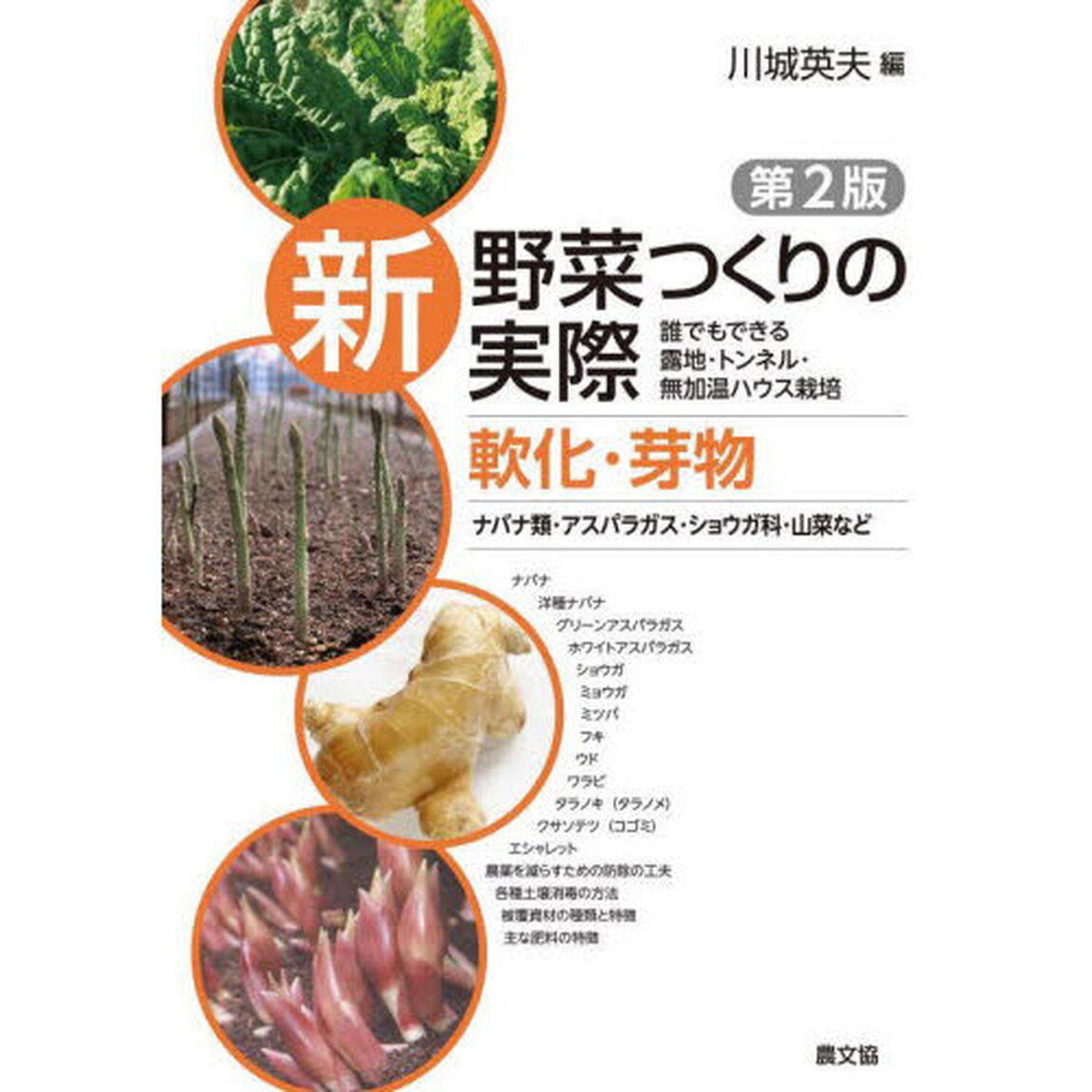 新野菜つくりの実際　誰でもできる露地・トンネル・無加温ハウス栽培　軟化・芽物「第２版」「ナバナ類・アスパラガス・ショウガ科・山菜など」