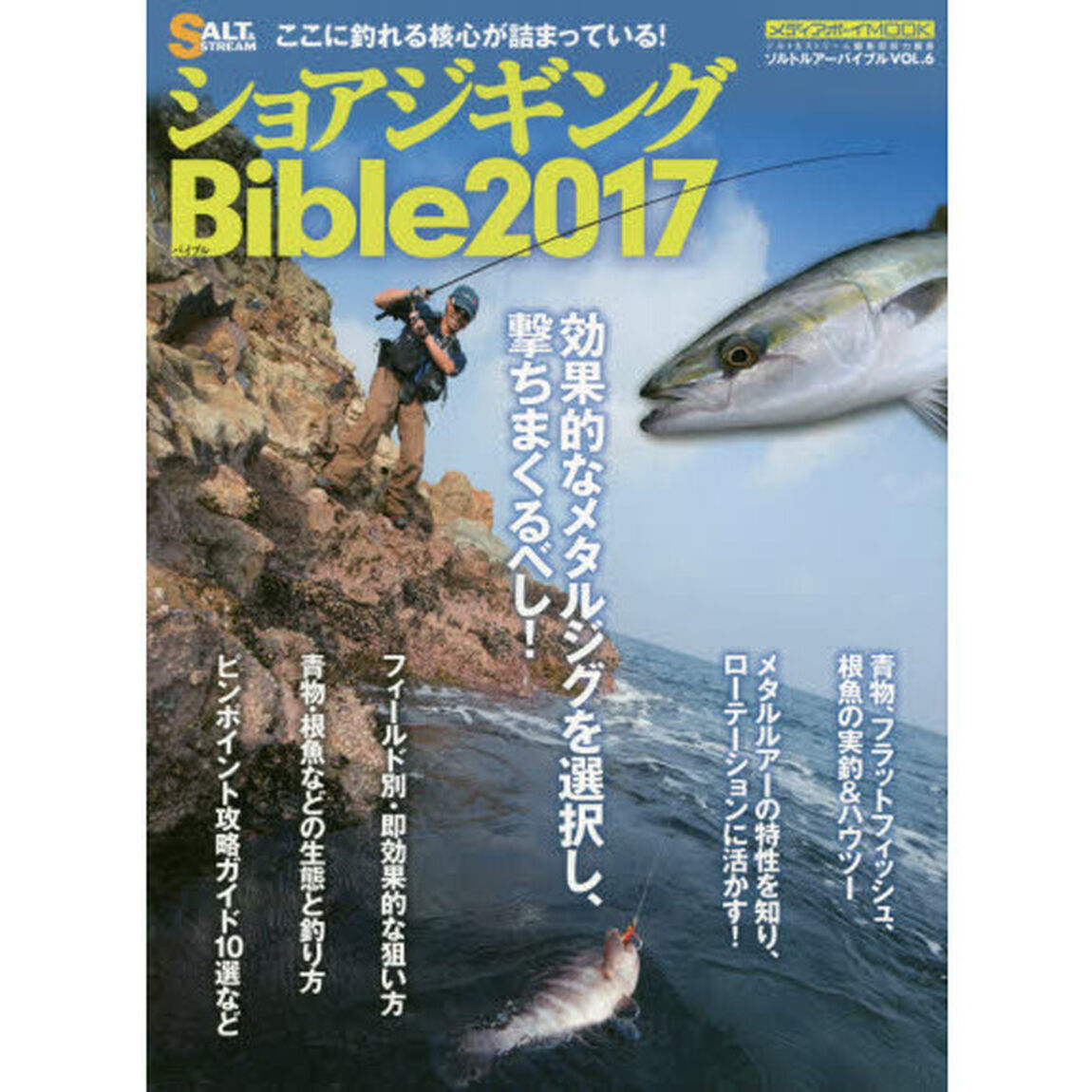 ショアジギングＢｉｂｌｅ　２０１７「ここに釣れる核心が詰まっている！」