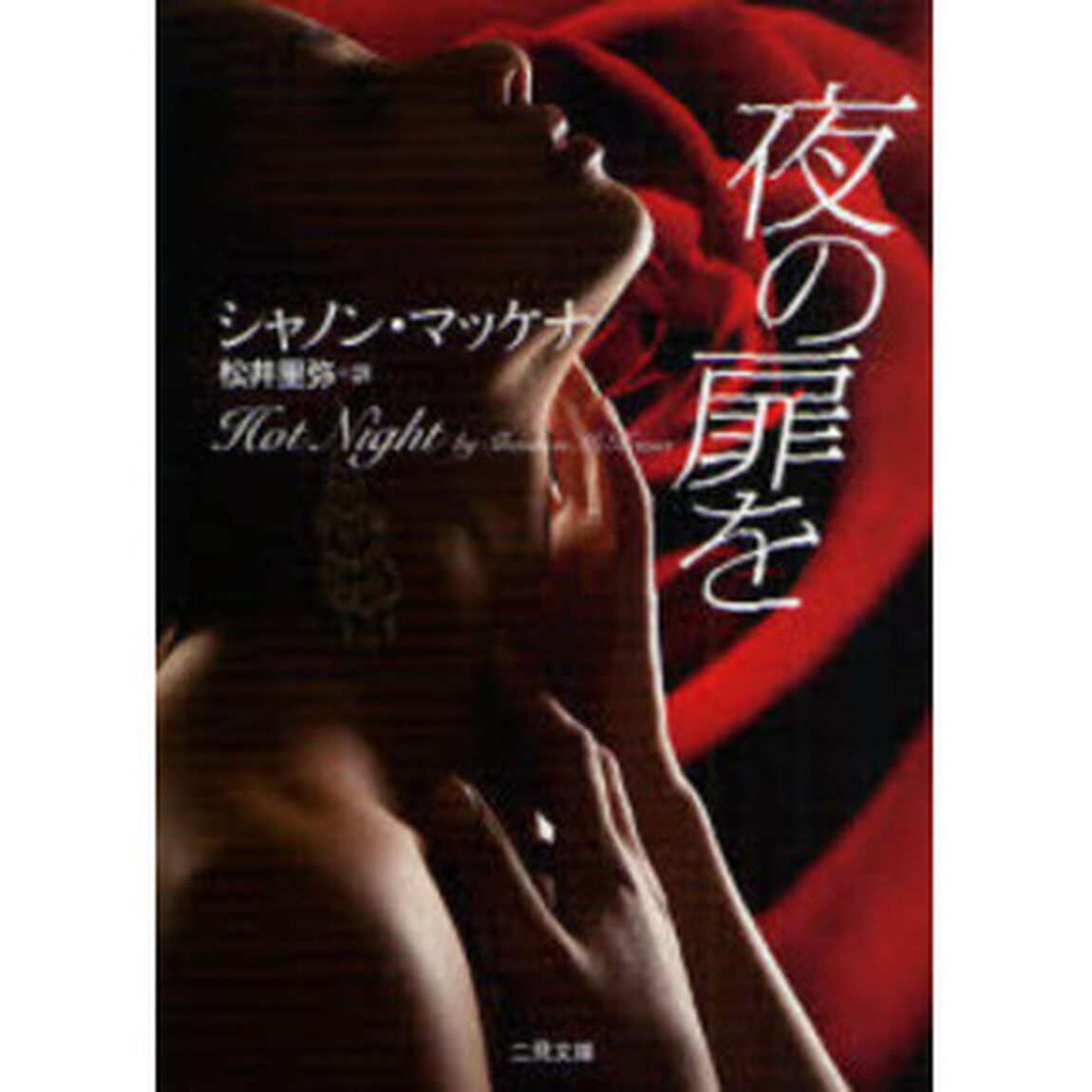 夜の扉を