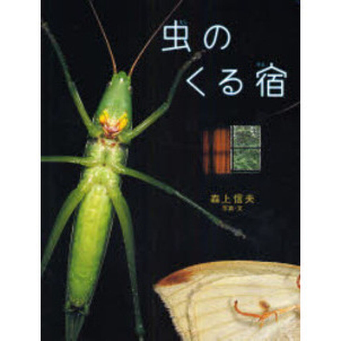 虫のくる宿