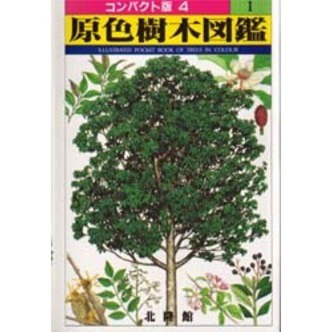 原色樹木図鑑　１