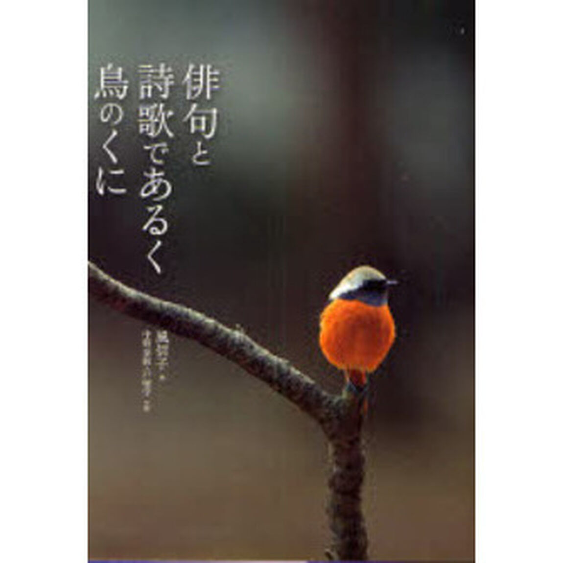 俳句と詩歌であるく鳥のくに