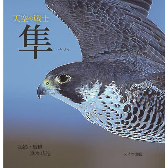天空の戦士隼