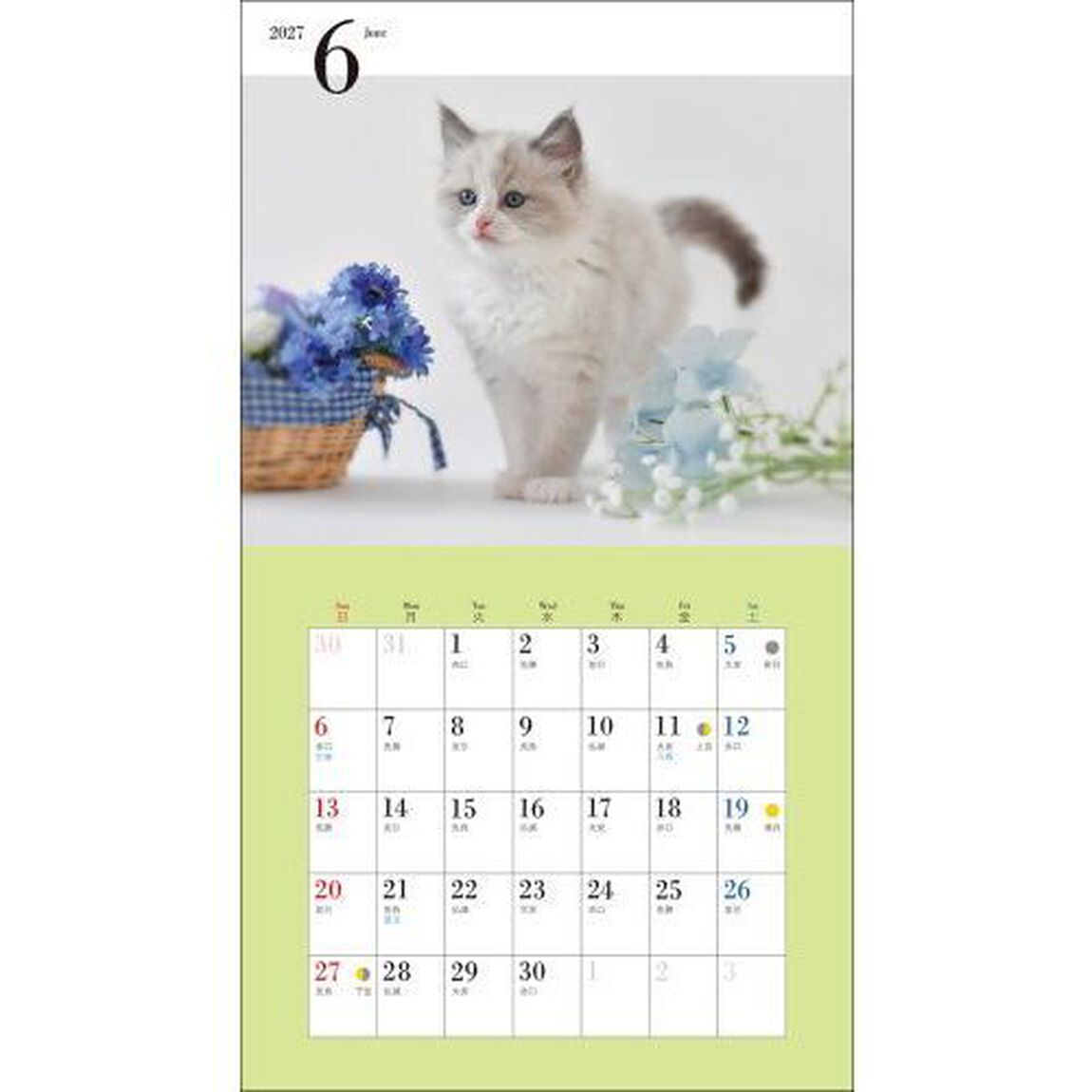&rsquo;２７　カレンダーかわいいこねこ
