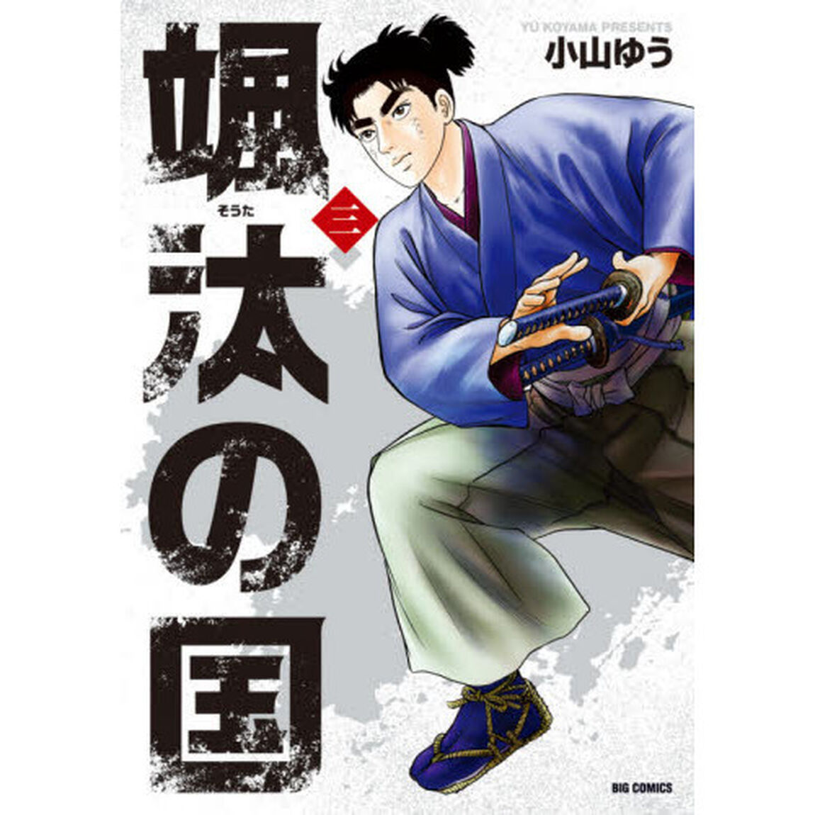 颯汰の国　３