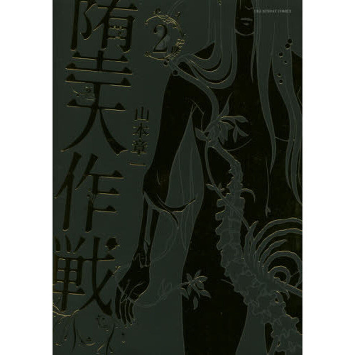 堕天作戦　２