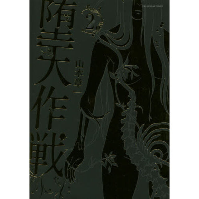 堕天作戦　２