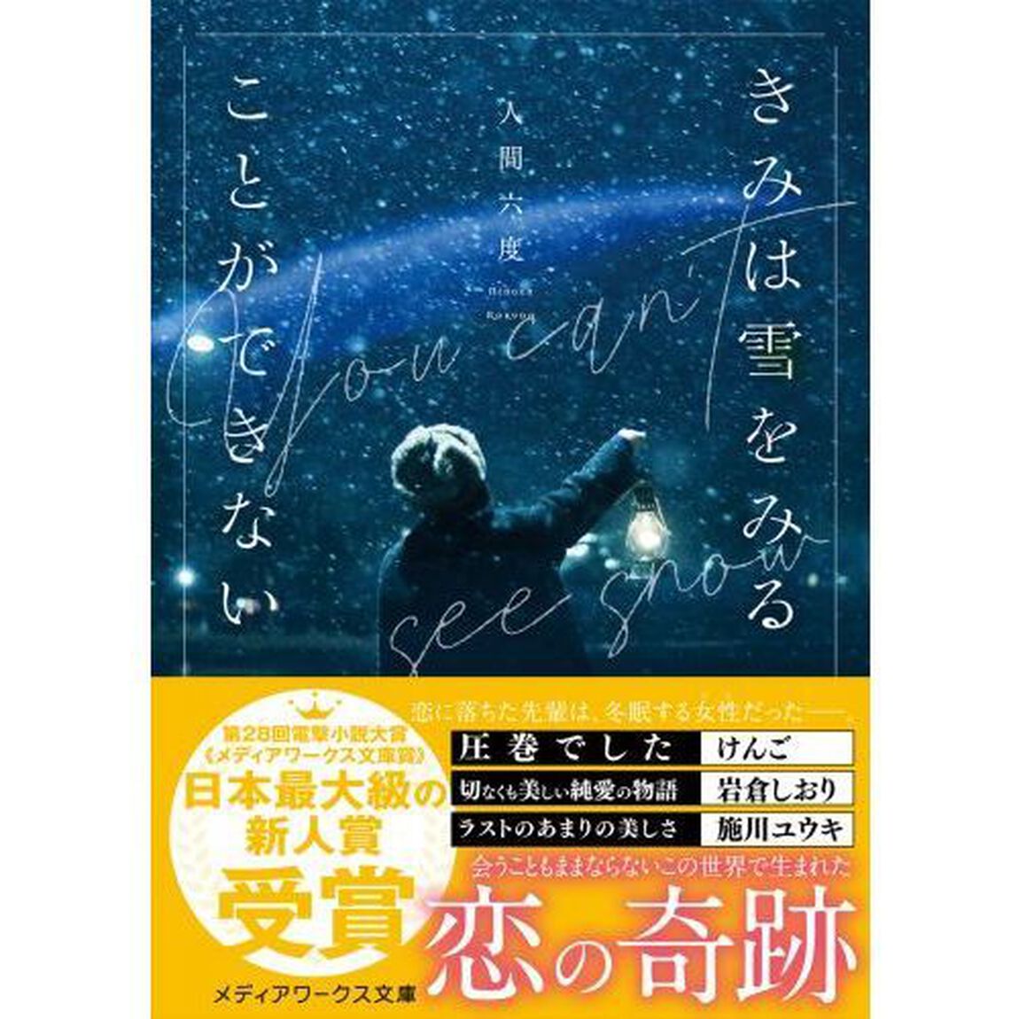 きみは雪をみることができない