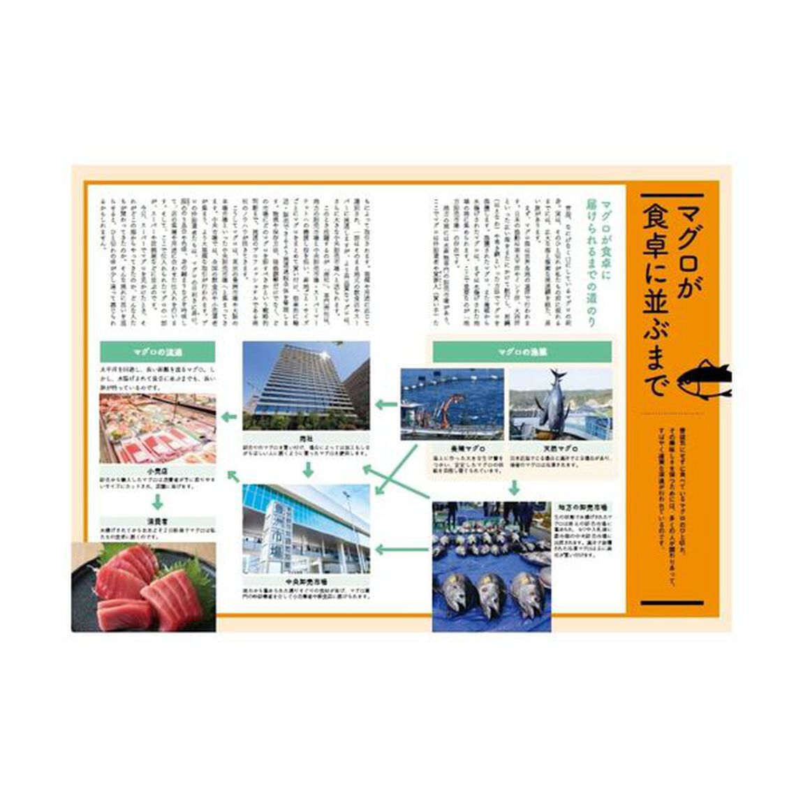 知れば知るほど美味しい魚の雑学