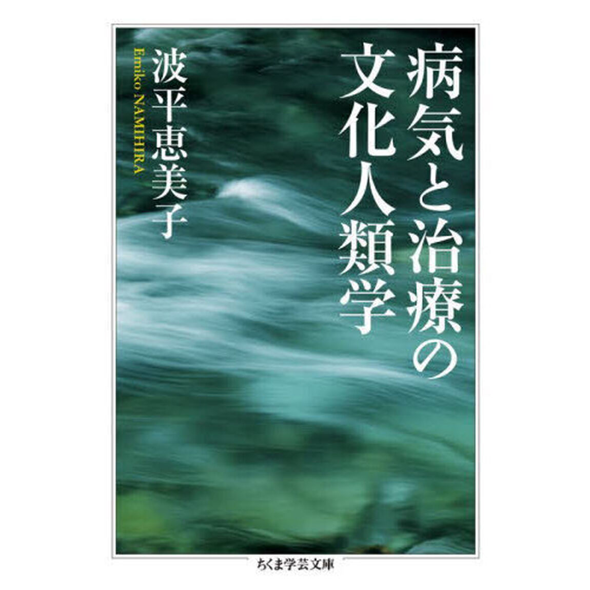 病気と治療の文化人類学