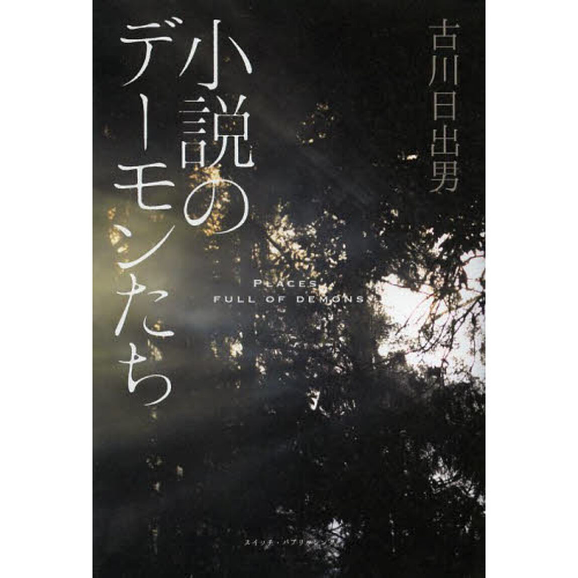 小説のデーモンたち