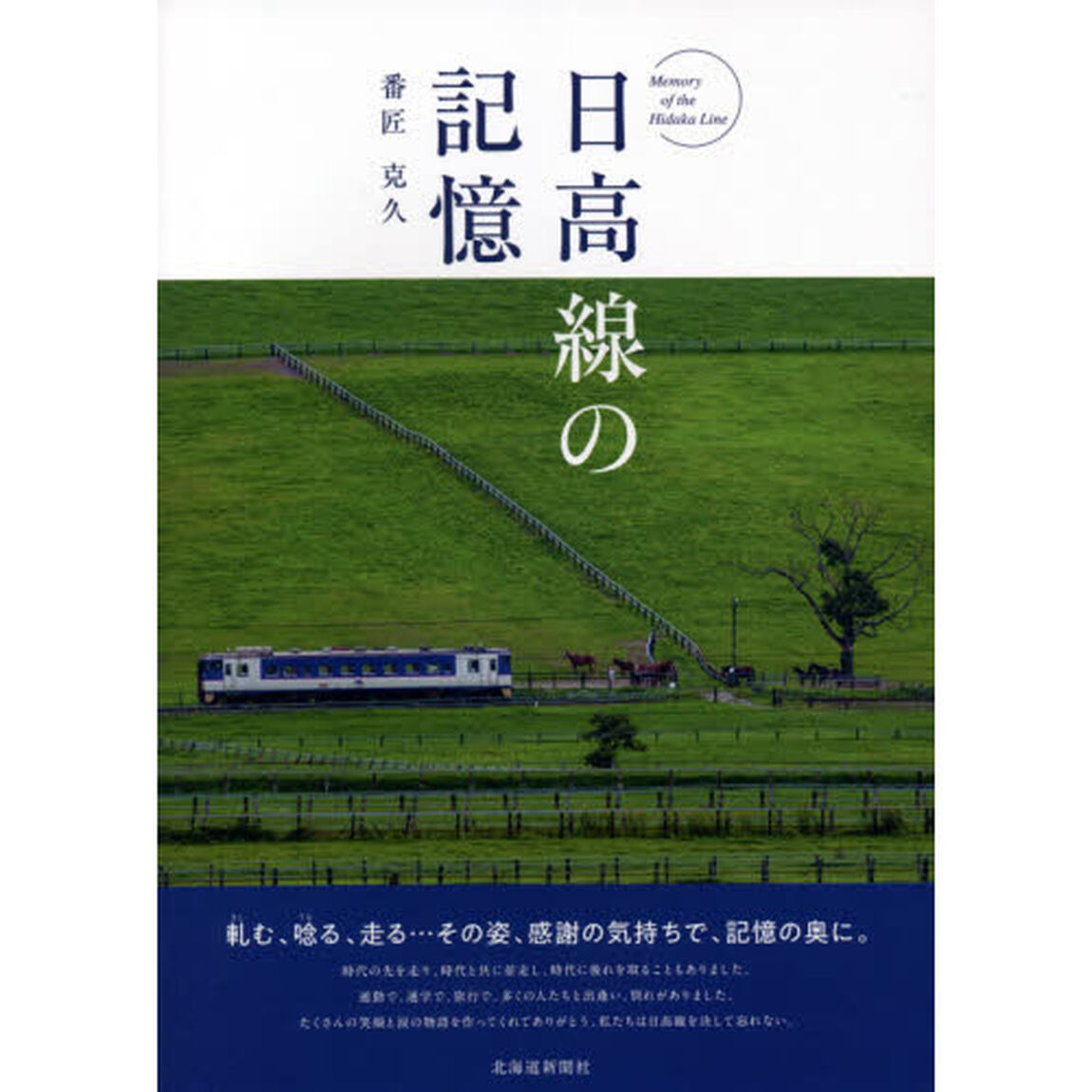 日高線の記憶