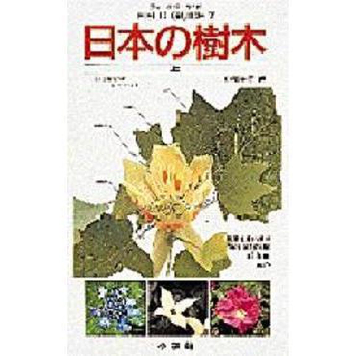 日本の樹木　上